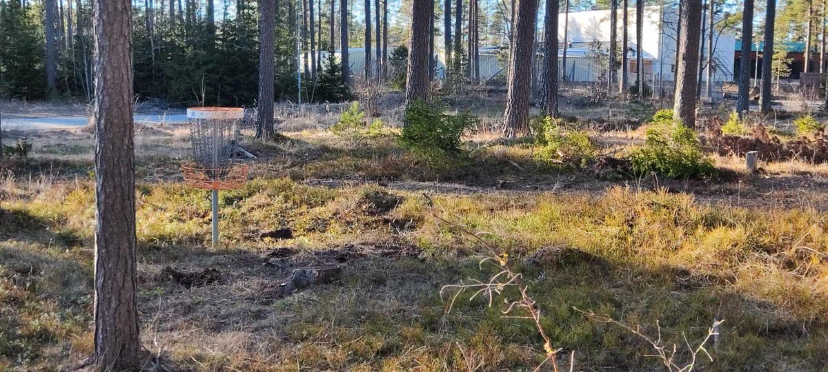 Hål 16, korgplacering
