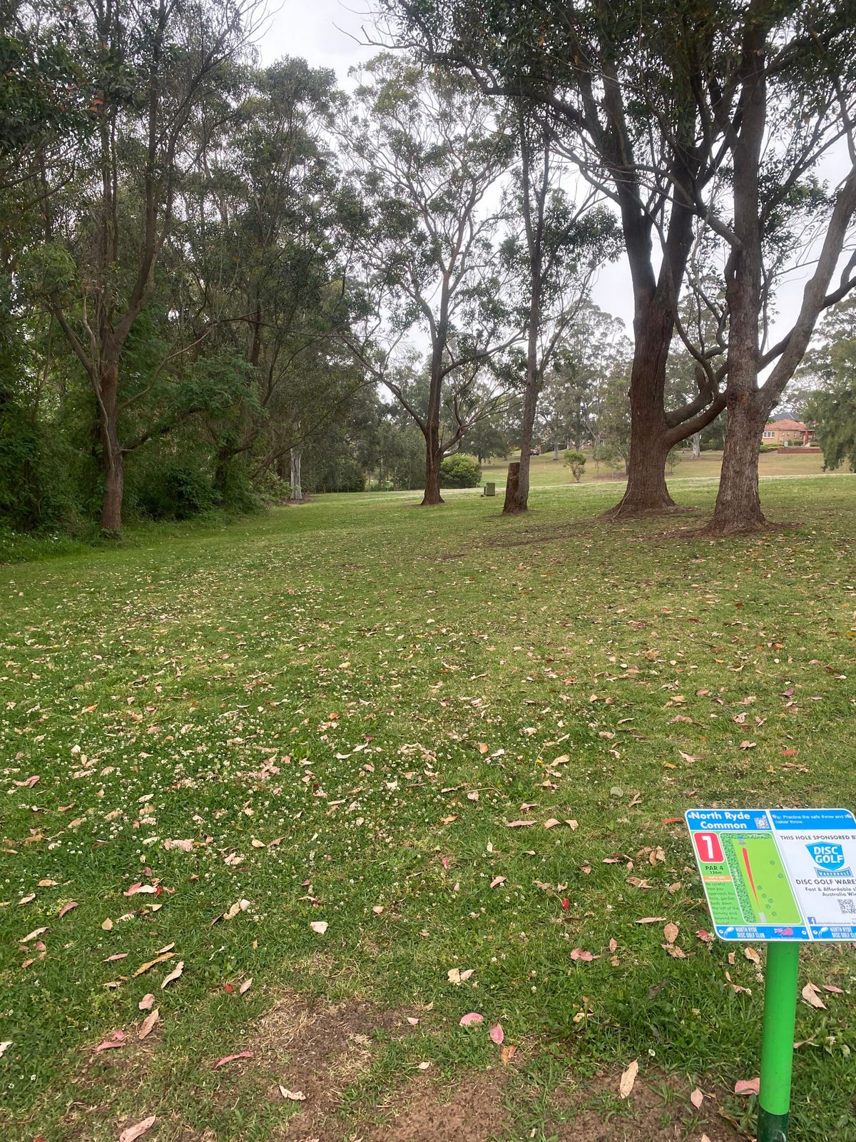 Hole 7 Fairway