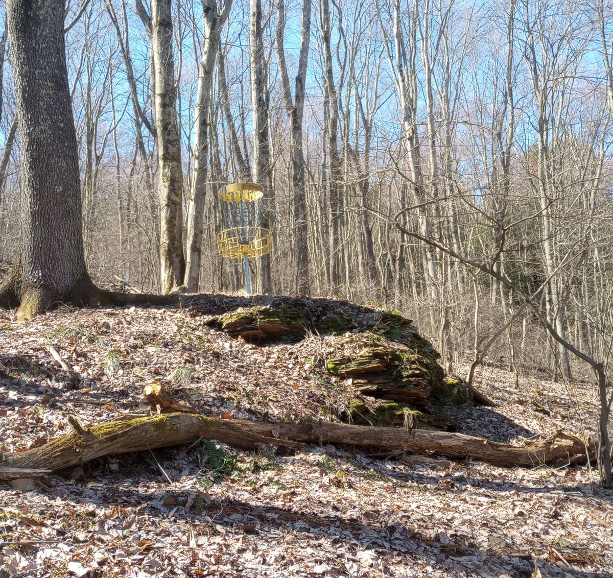 Hole 16 circle (new)