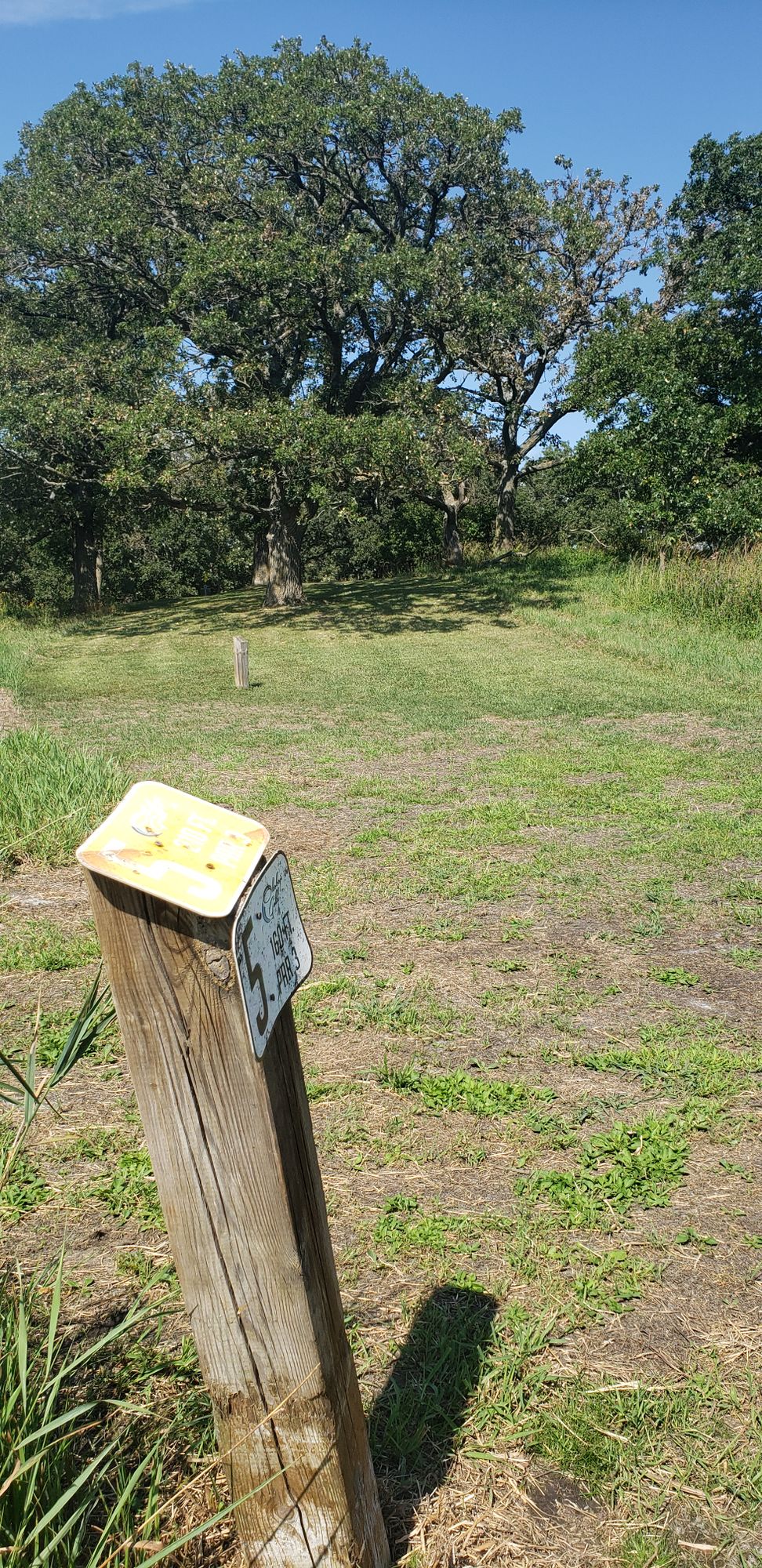 Hole 5 Gold tee