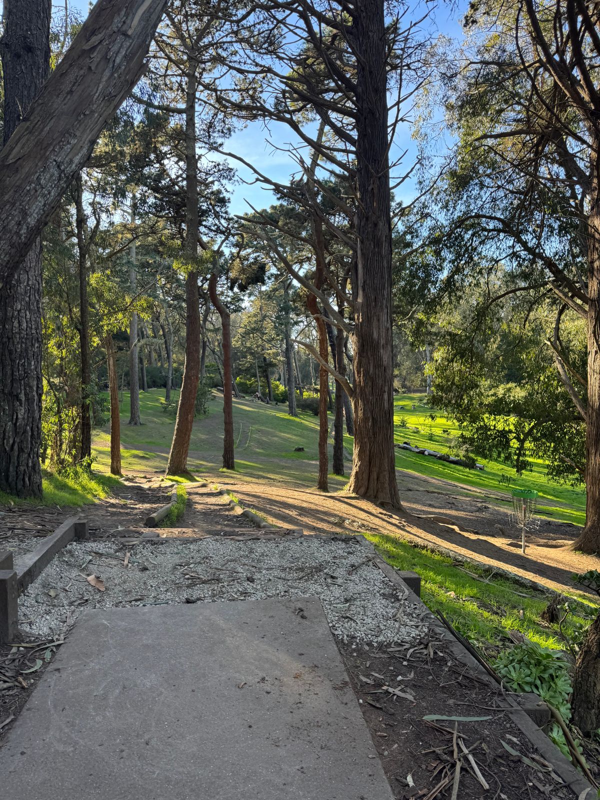 Hole 15 tee pad, next to hole 16 basket