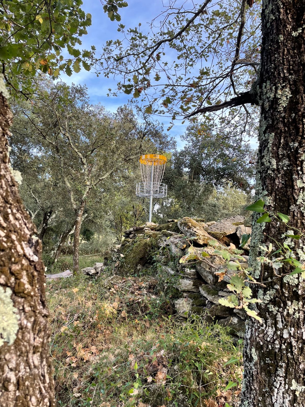 Hole 10