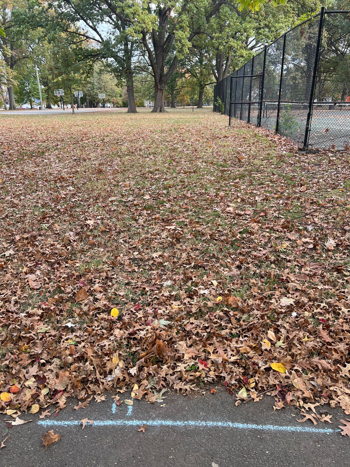 Hole 11 short, sharp RHFH hyzer
