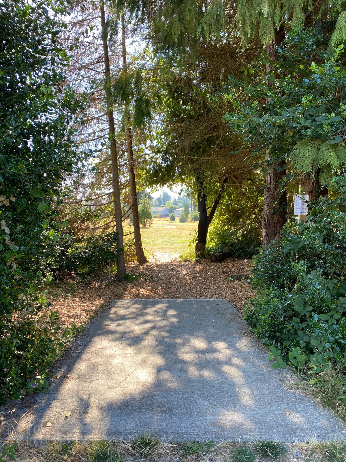 Long Tee Pad For Hole 1