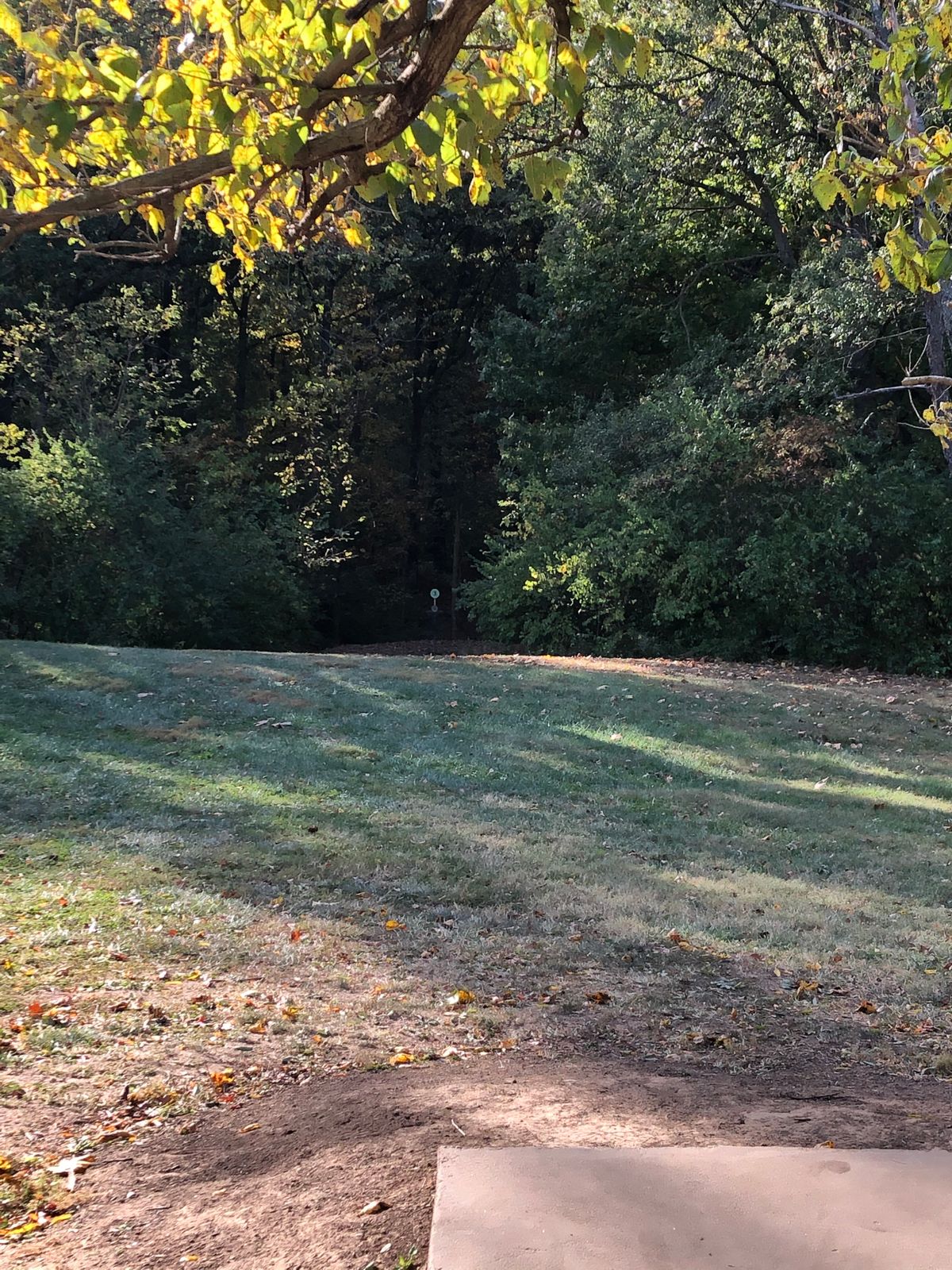 Hole 3