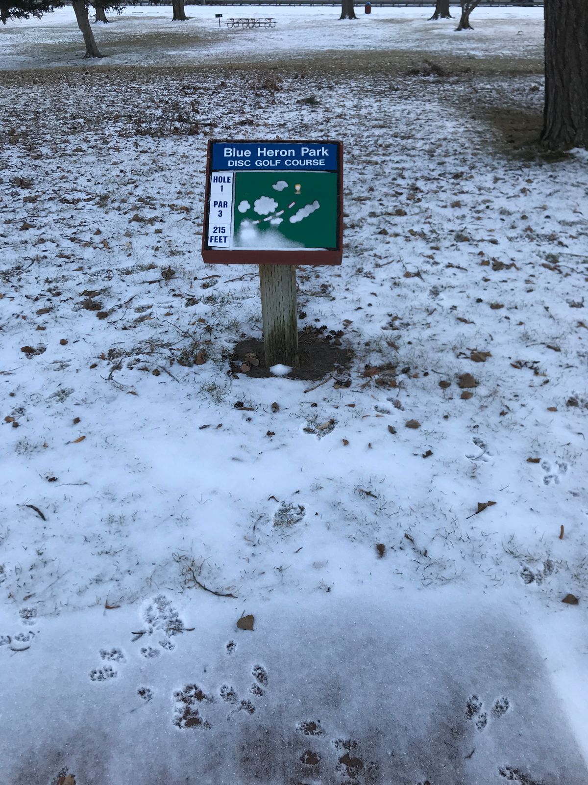 Concrete tee pads, wooden signs, large trees with some low ceilings, really nice and fun!