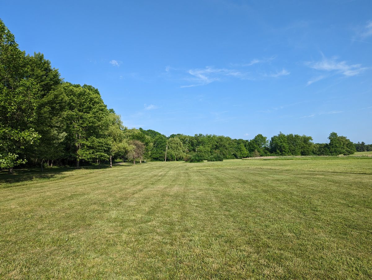 Freshly mowed fairway and rough, hole 5