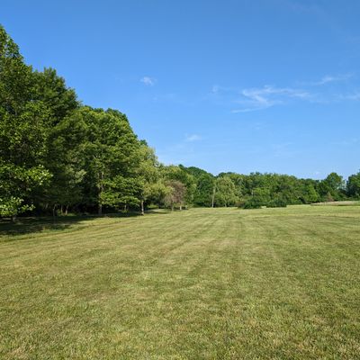 Freshly mowed fairway and rough, hole 5