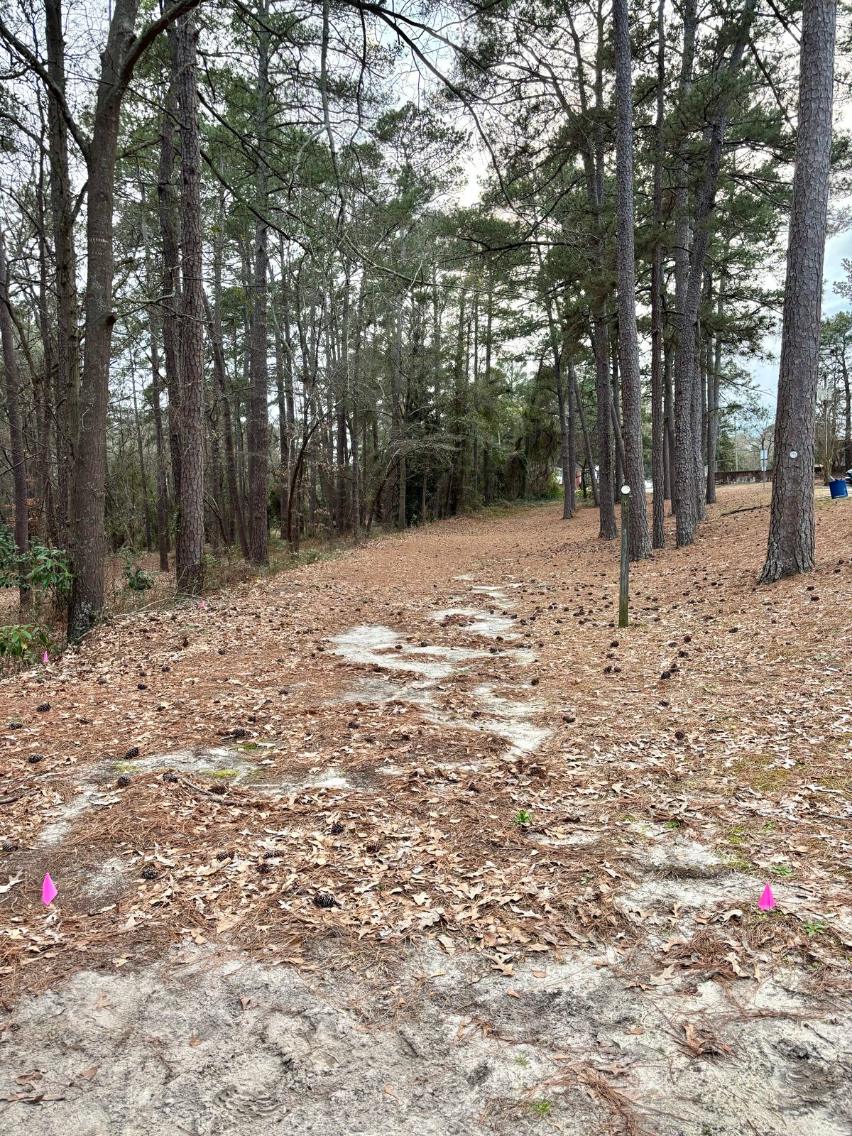 Hole 10 Tee