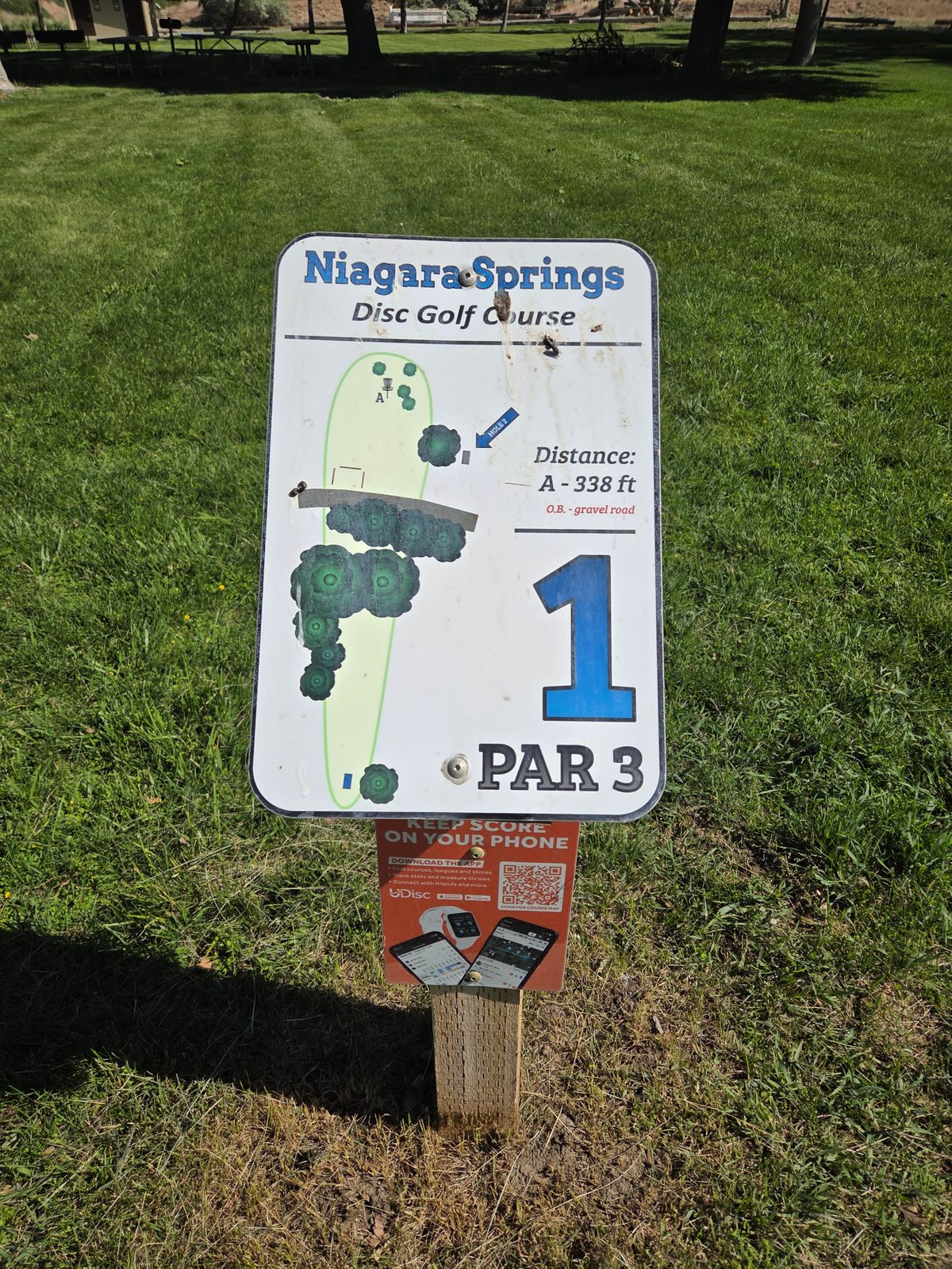 1's teesign