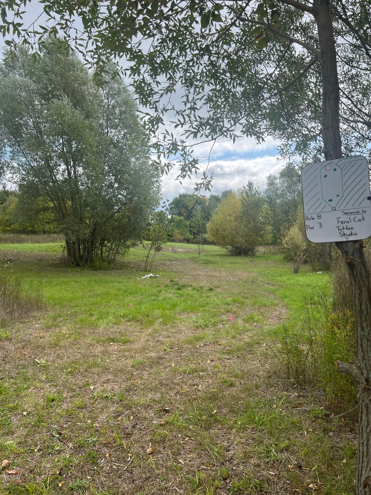 Hole 8 tee and fairway