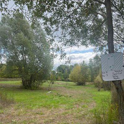 Hole 8 tee and fairway