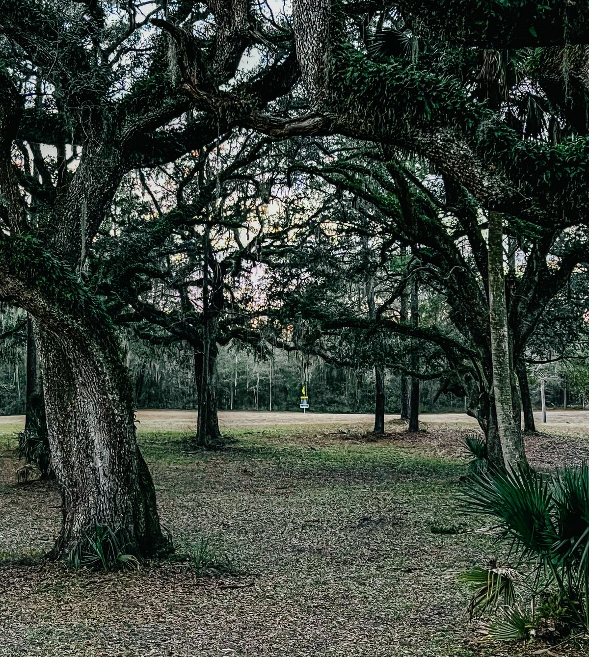 11 Fairway