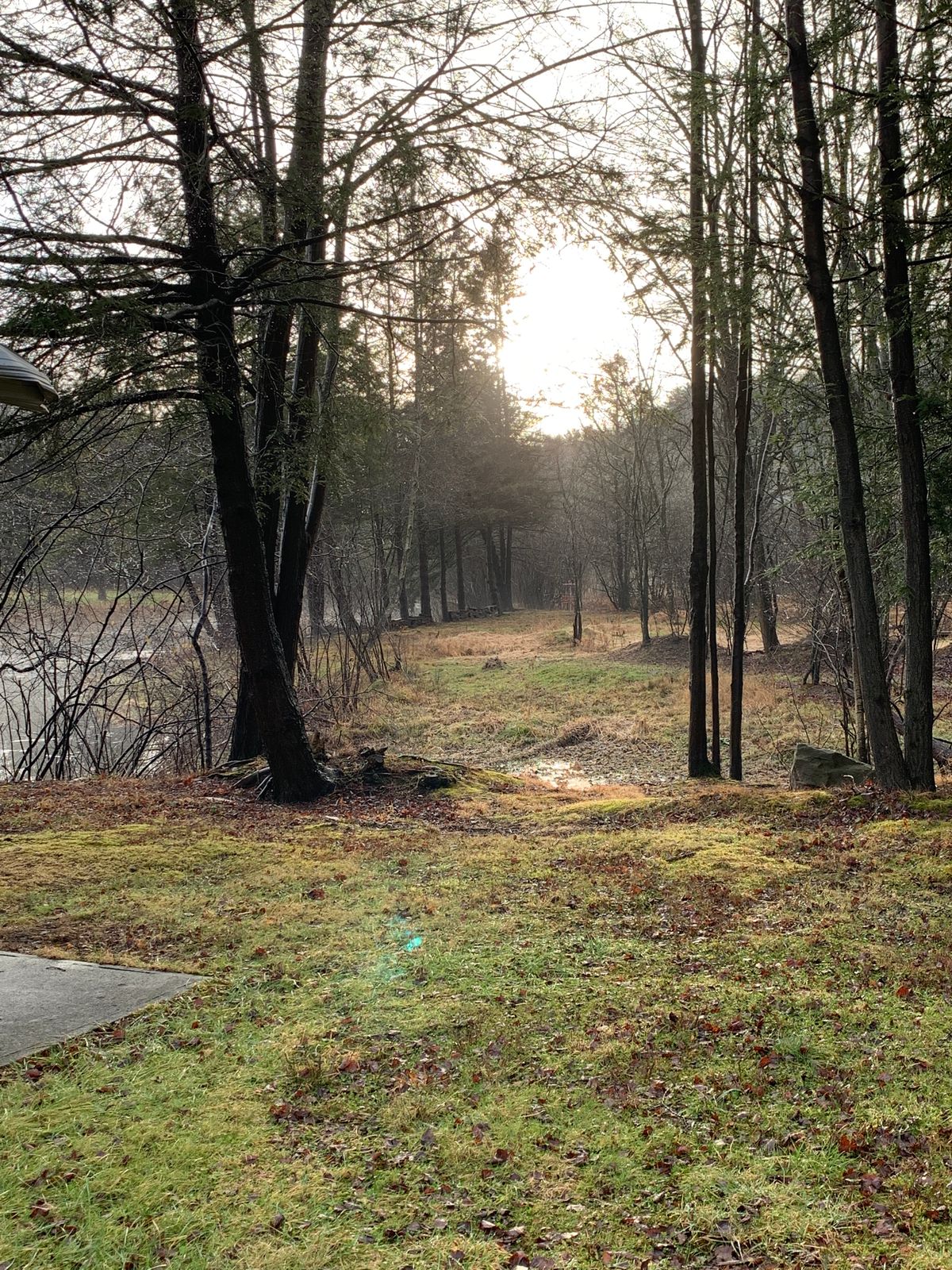 First short tee box