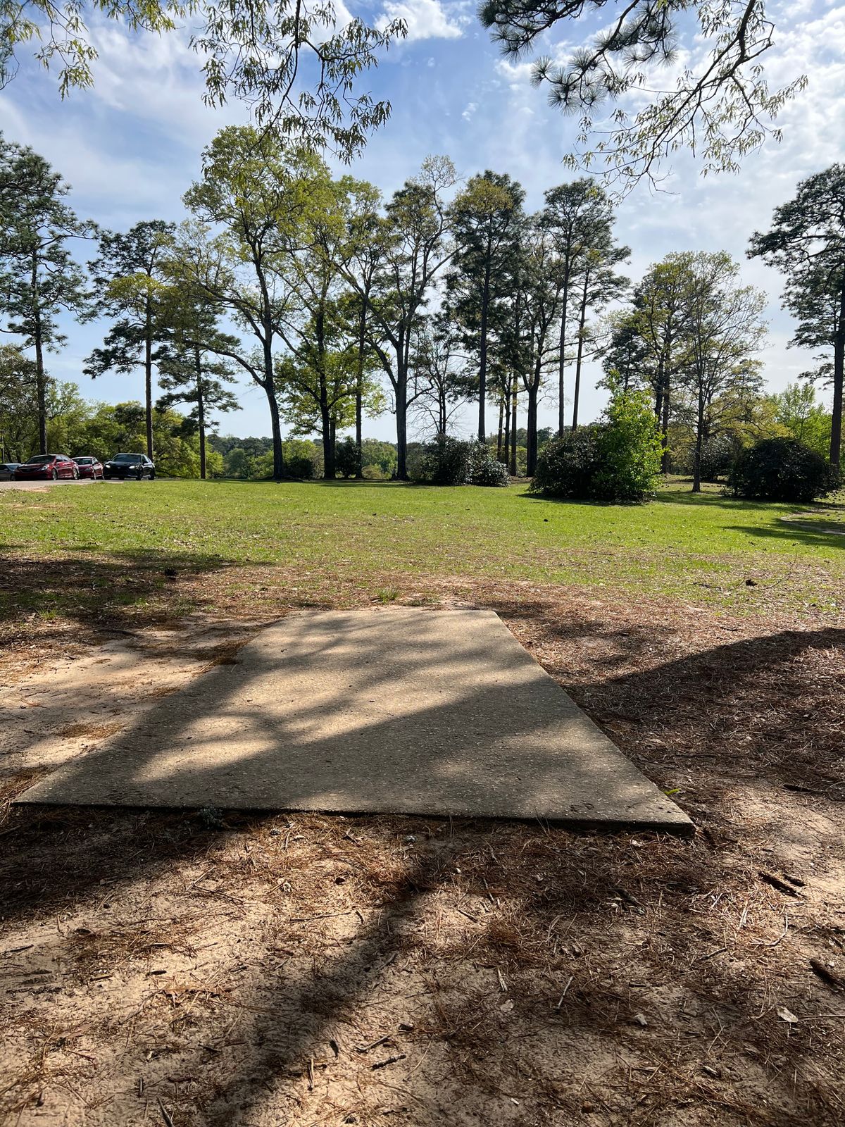 Hole #1