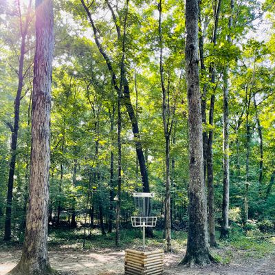 Newly elevated basket on hole 10