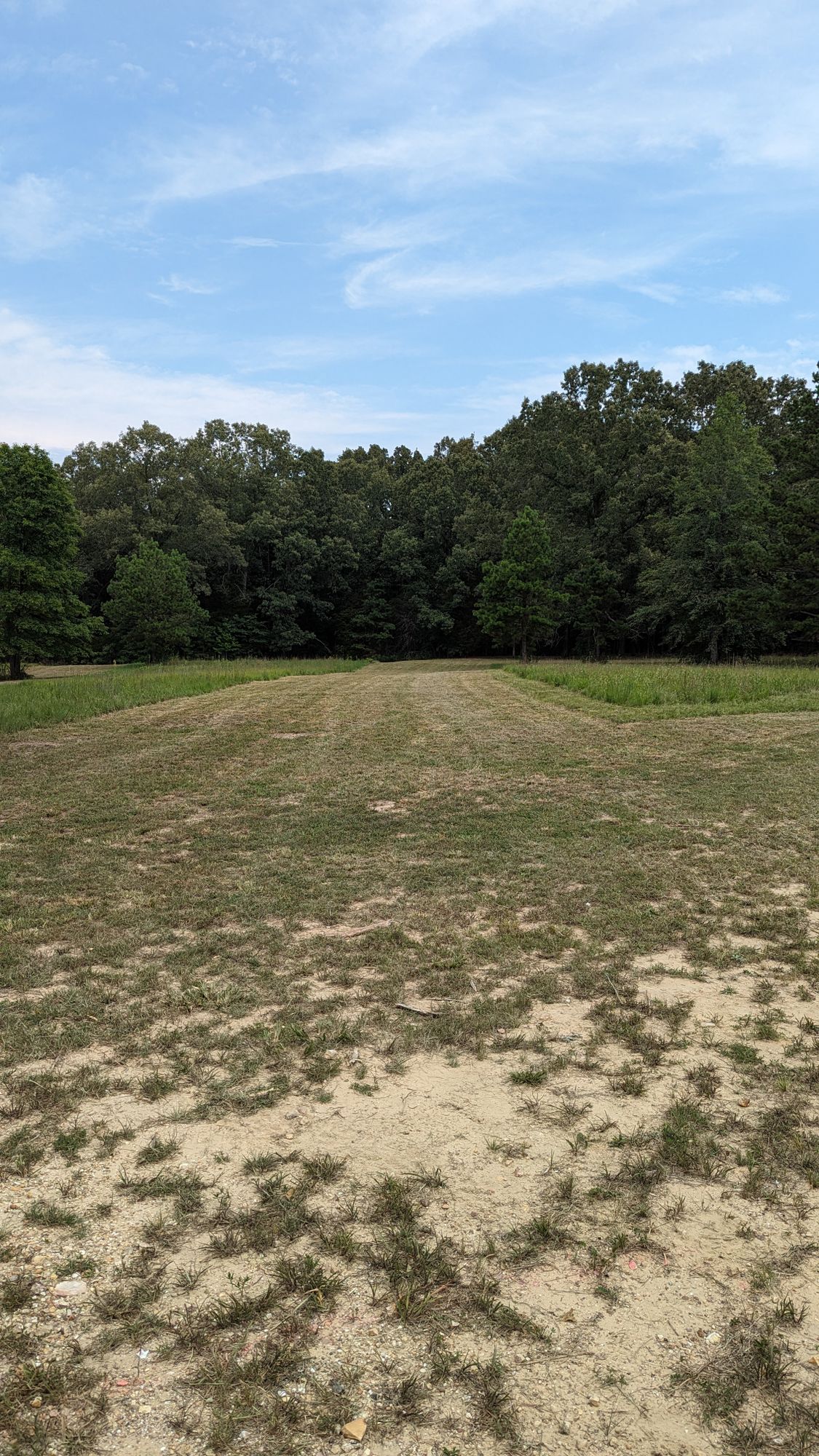 Hole 8. Pin is the same as hole 1.  So it's in the woods