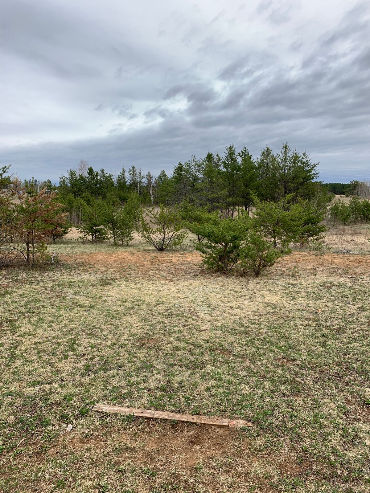 Hole 8 tee box (short)