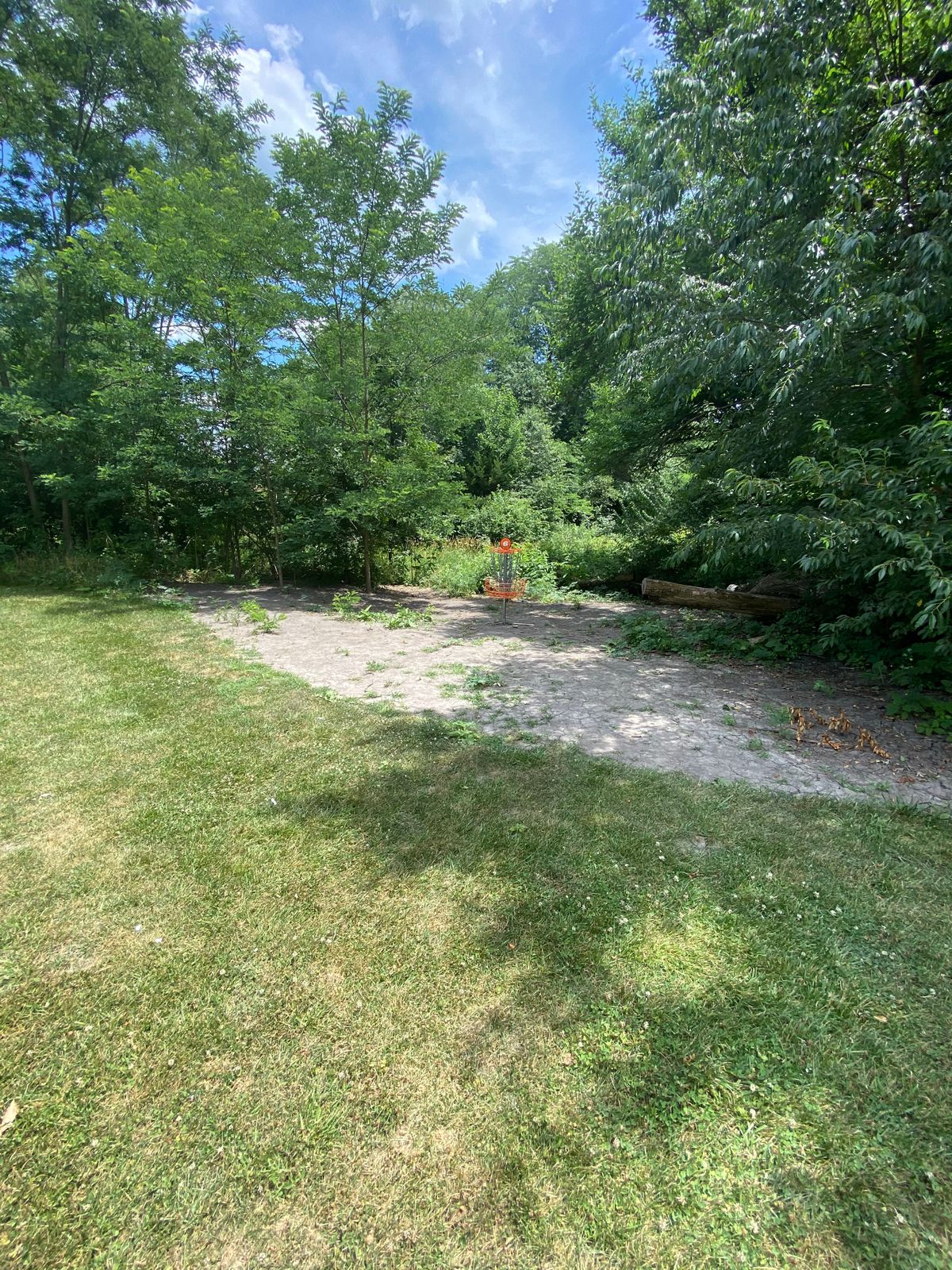 Hole 6 basket
