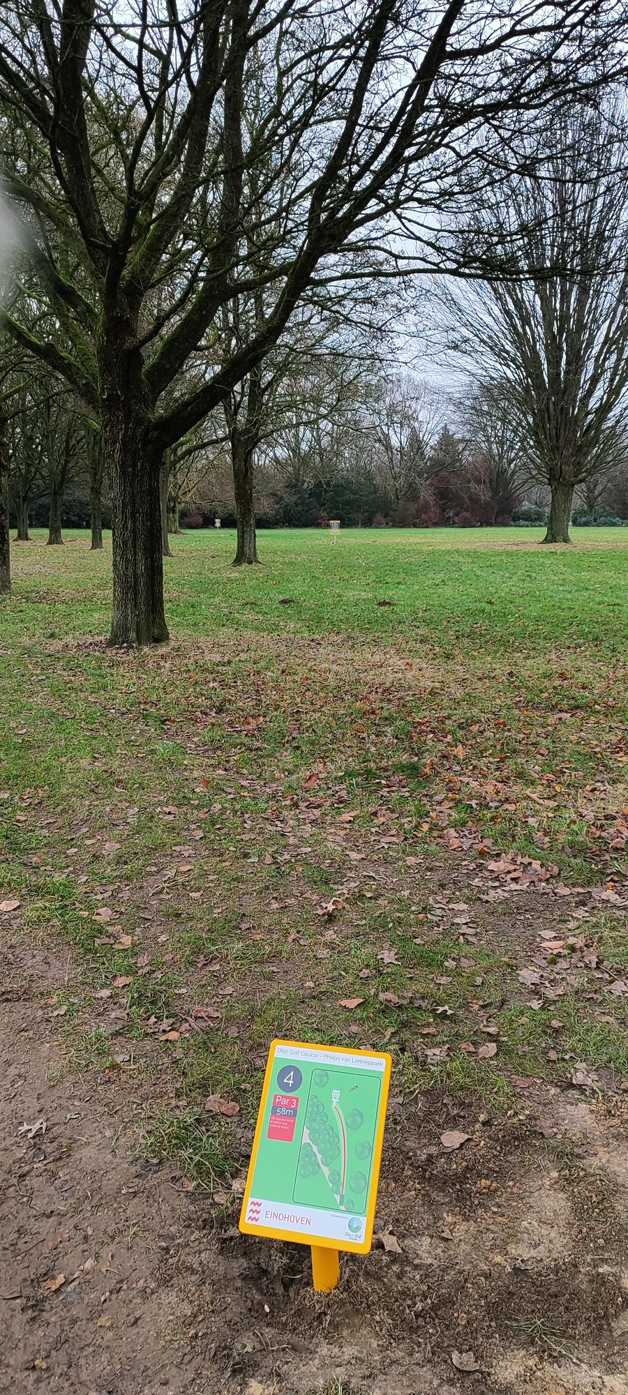 Beginner hole 4