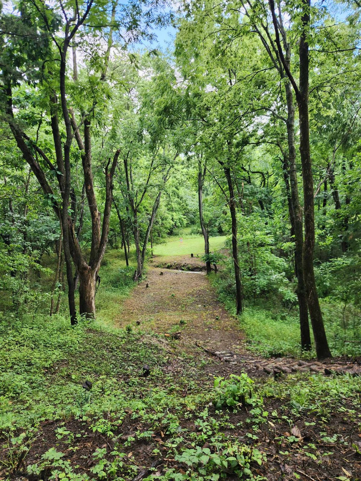 Looking down hole 6's fairway