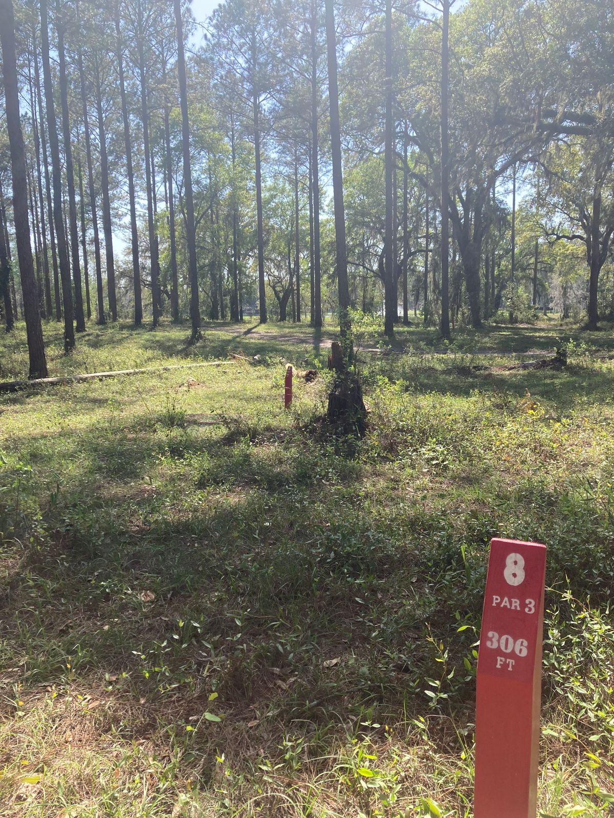 Hole 8