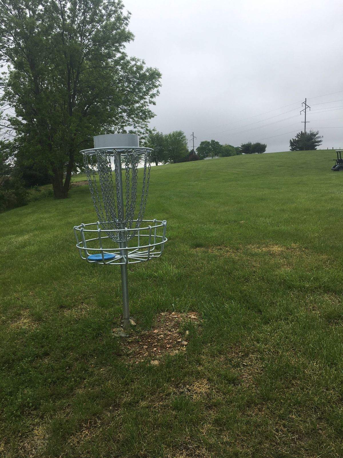 Hole 7 basket