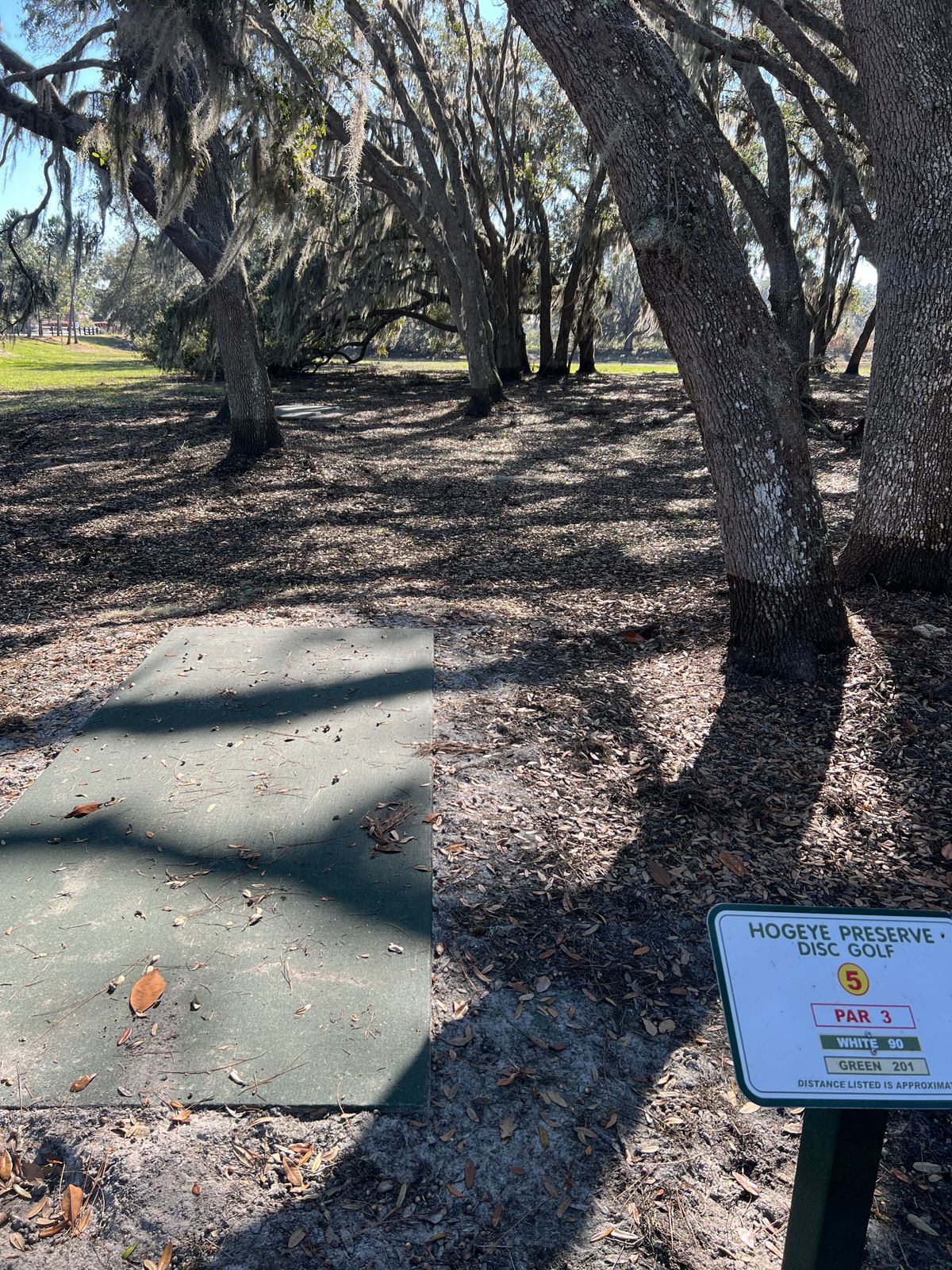 Hole 5 Green Tee