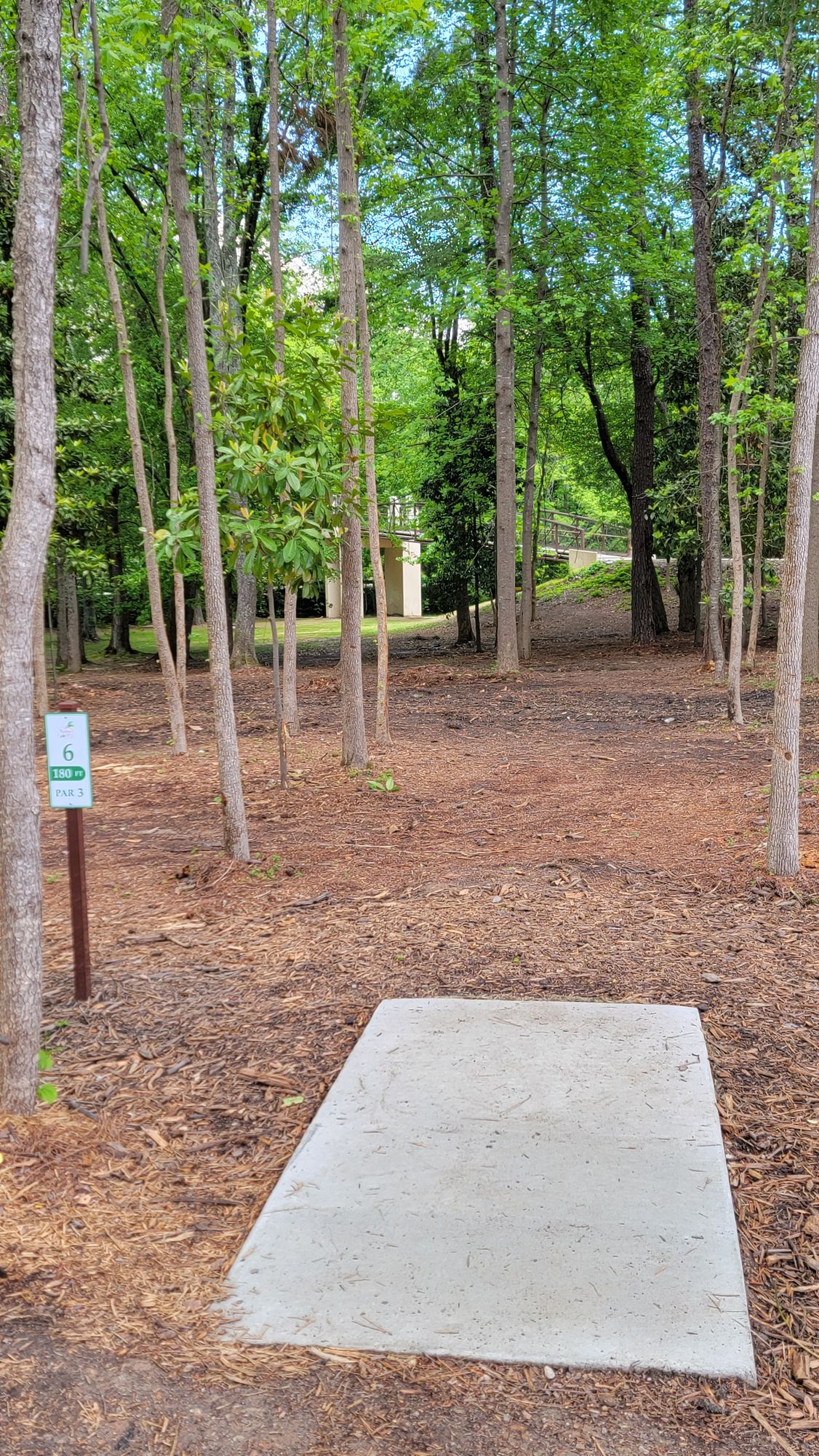 Hole 6