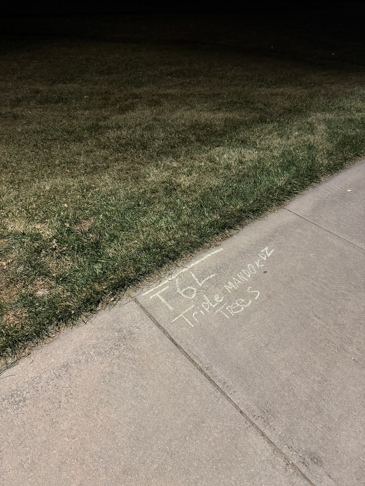 Example of a long’s tee sign: “T6L” for hole 6’s long position. Mentions triple mando with the trees