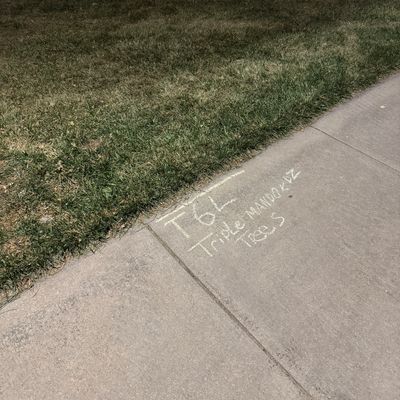 Example of a long’s tee sign: “T6L” for hole 6’s long position. Mentions triple mando with the trees