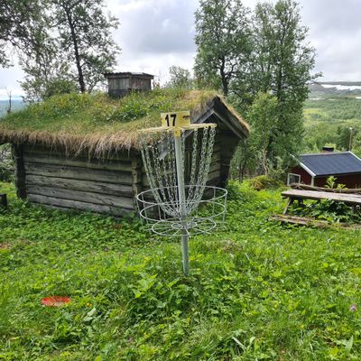Korg vid hål 17