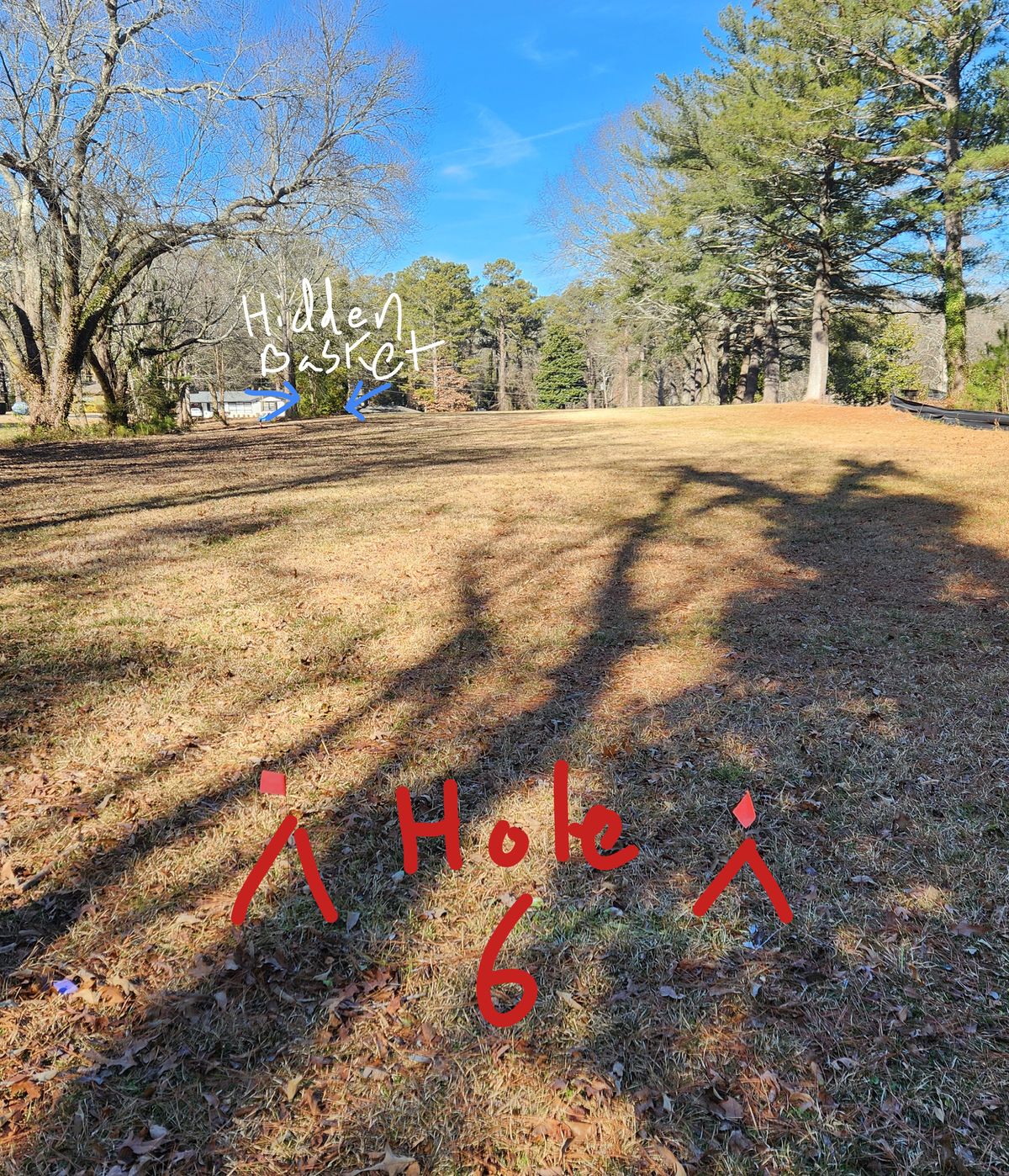 Hole 6 has no OB or mangos but no direct view to basket.