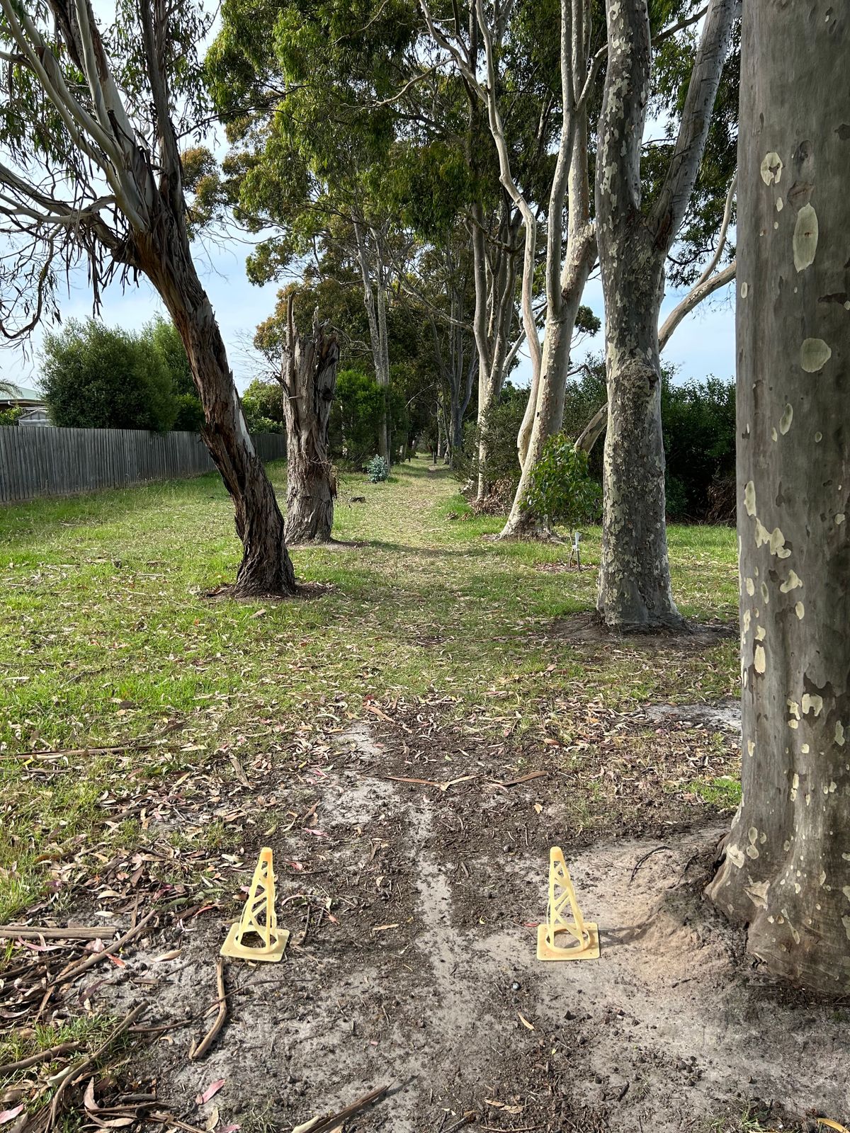 Hole 15