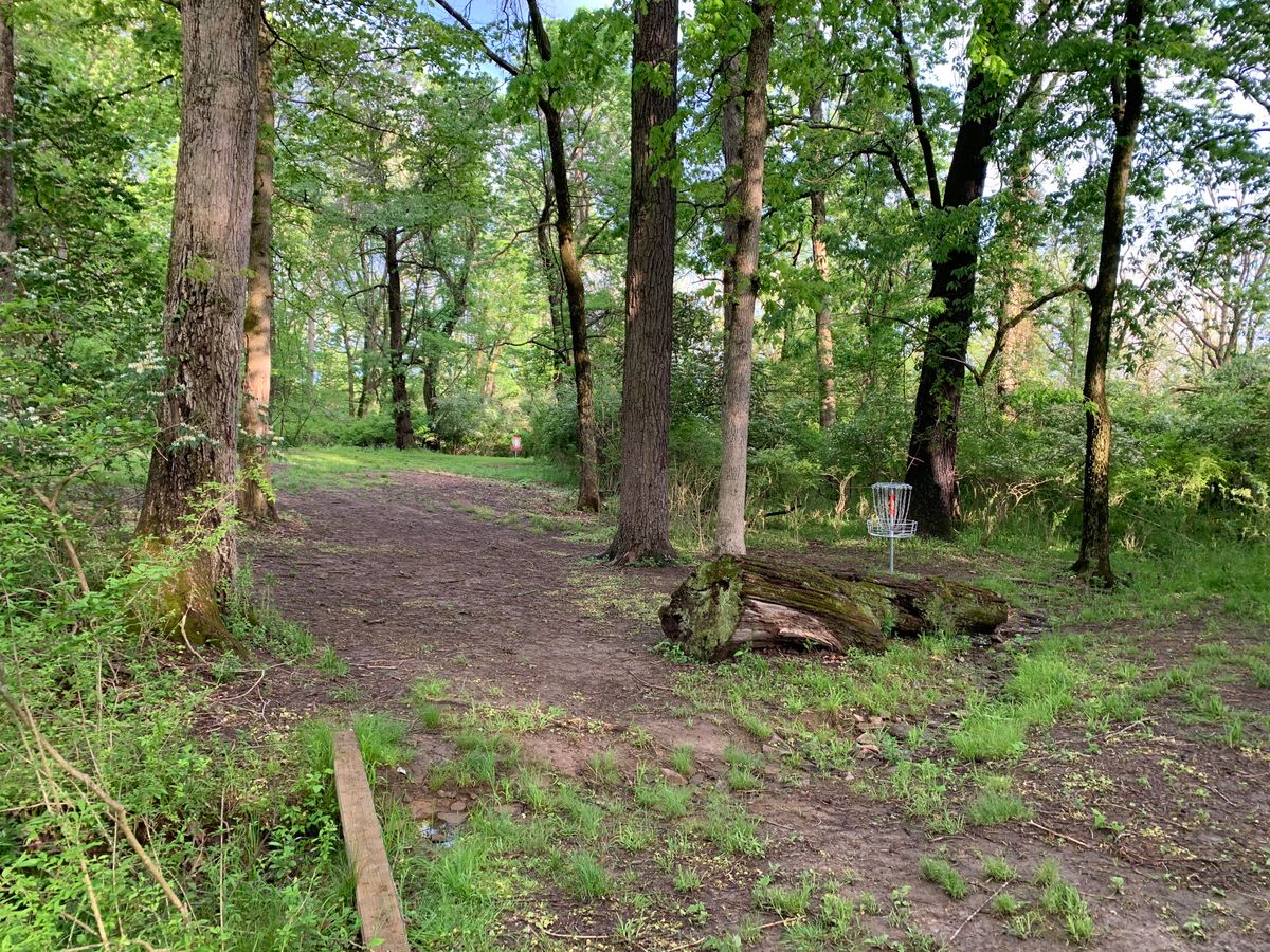 Hole 8 (for now) Short basket