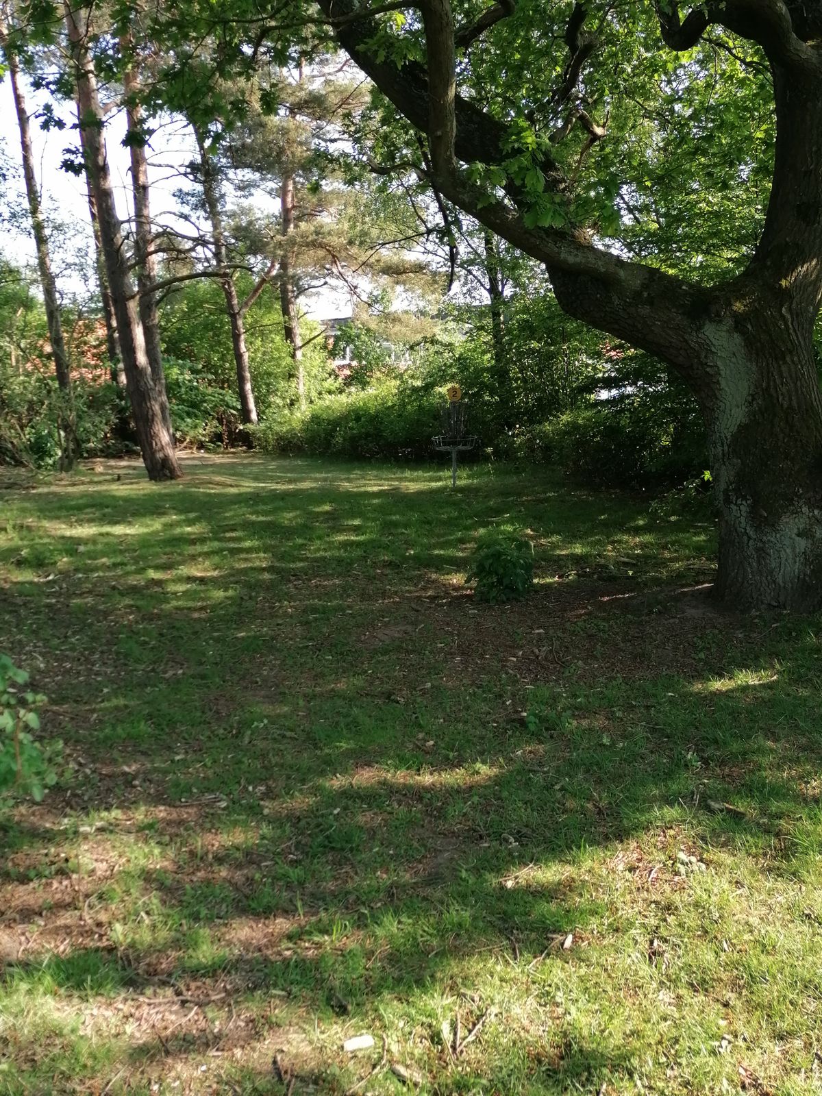 2:an green