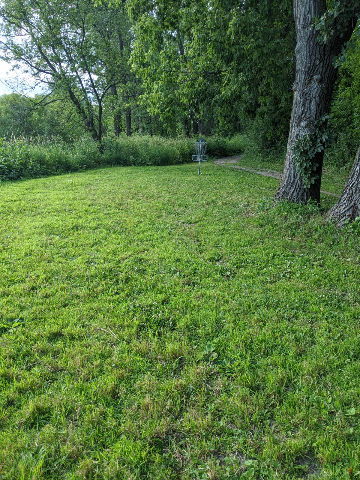 Hole 10, long/blue pin