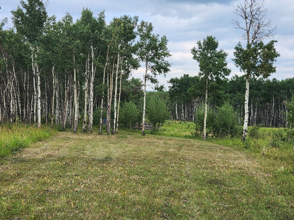Hole 10