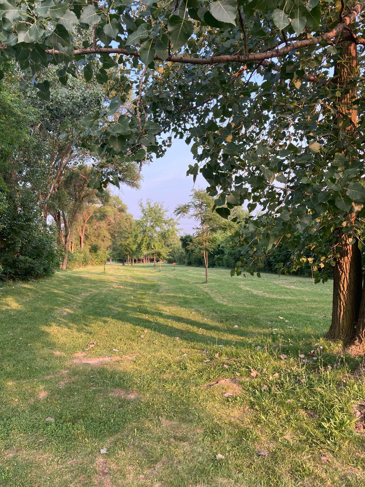Backnine #9 Tee