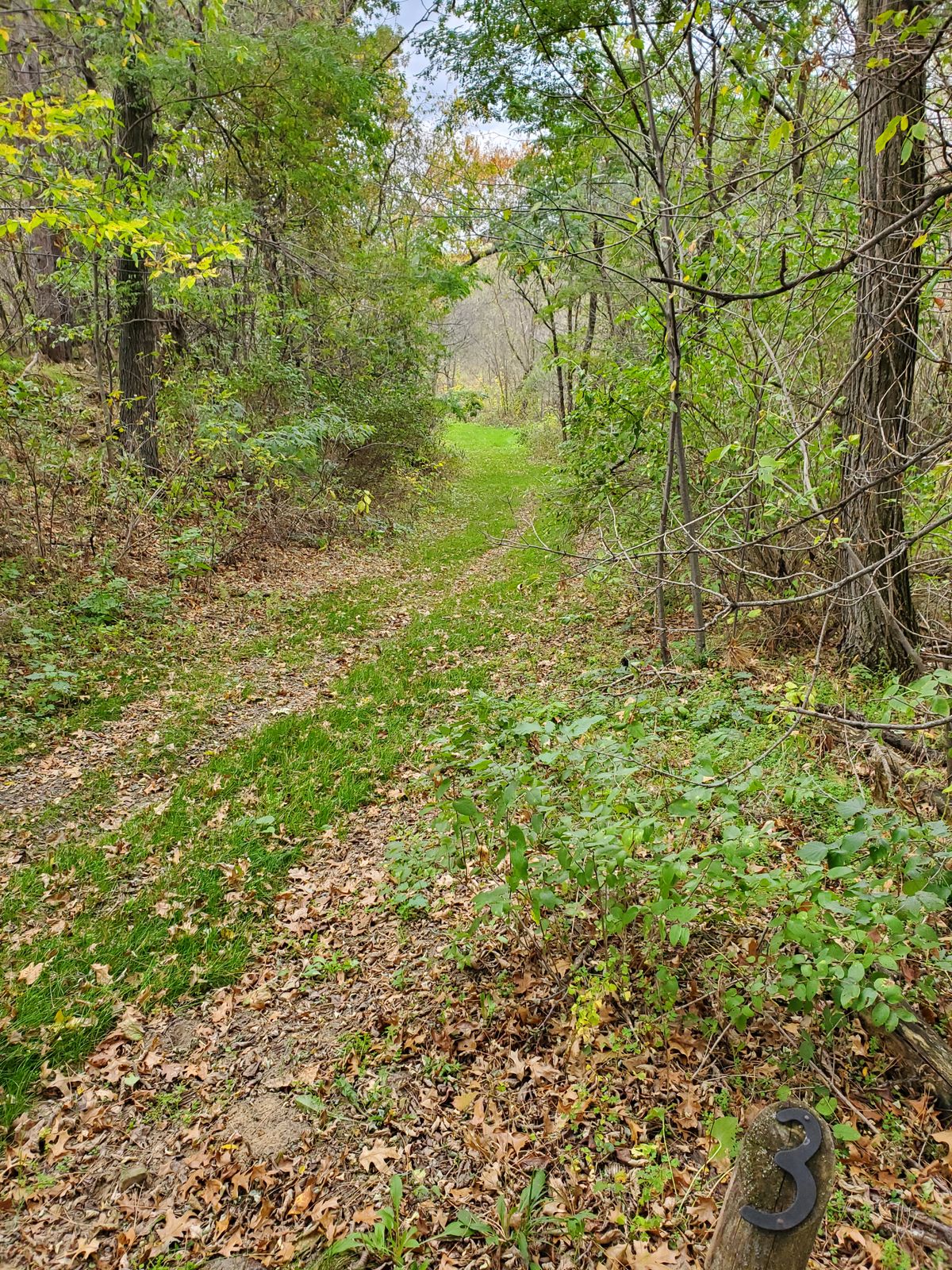 Hole 3