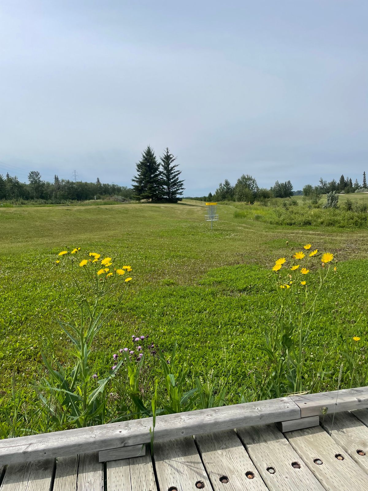 Hole 5