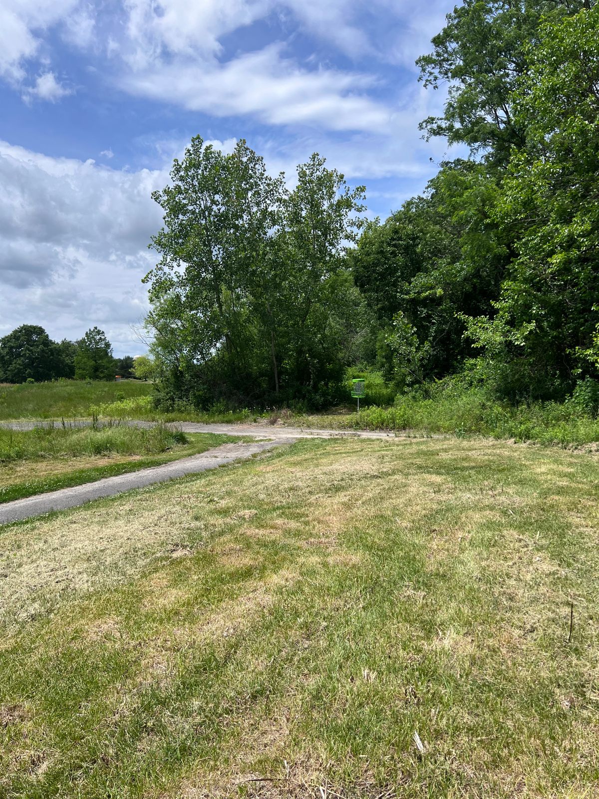 Hole 10 basket