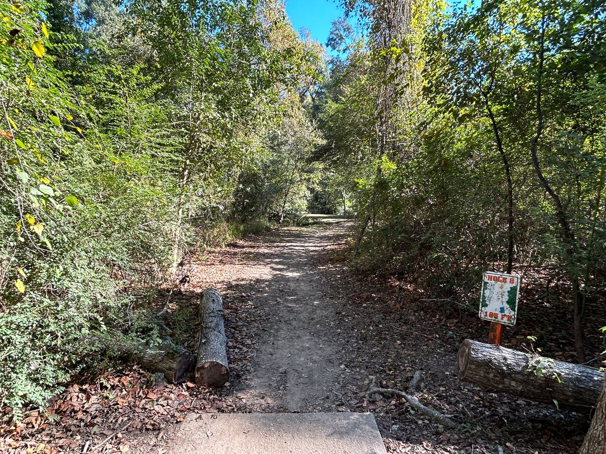 Hole 8 Fairway