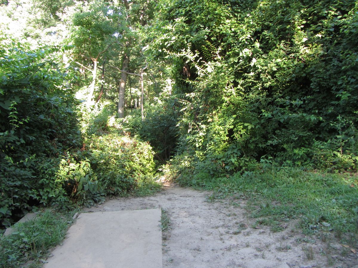 Hole 4
