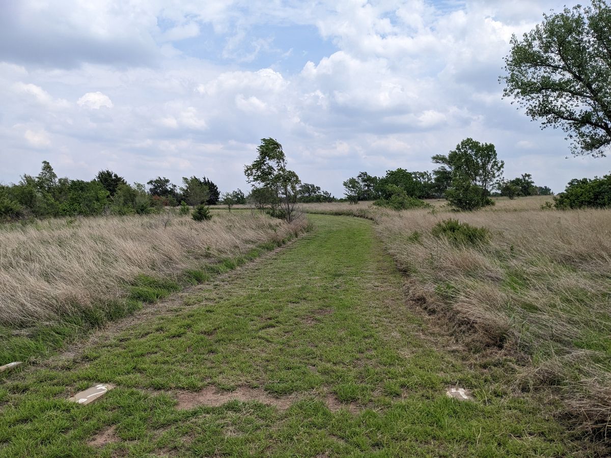 Hole #14