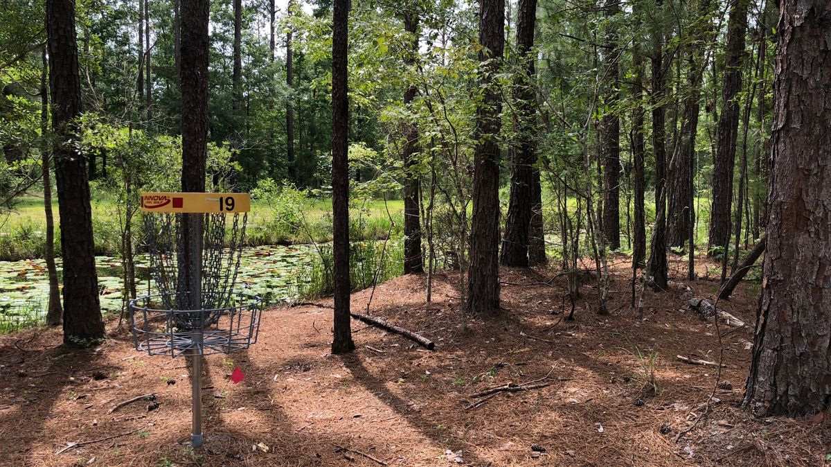 Hole 19