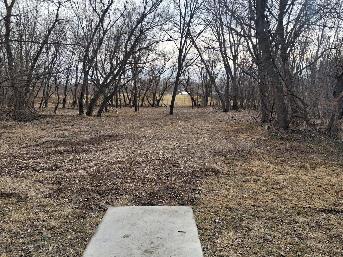 Hole 6 tee