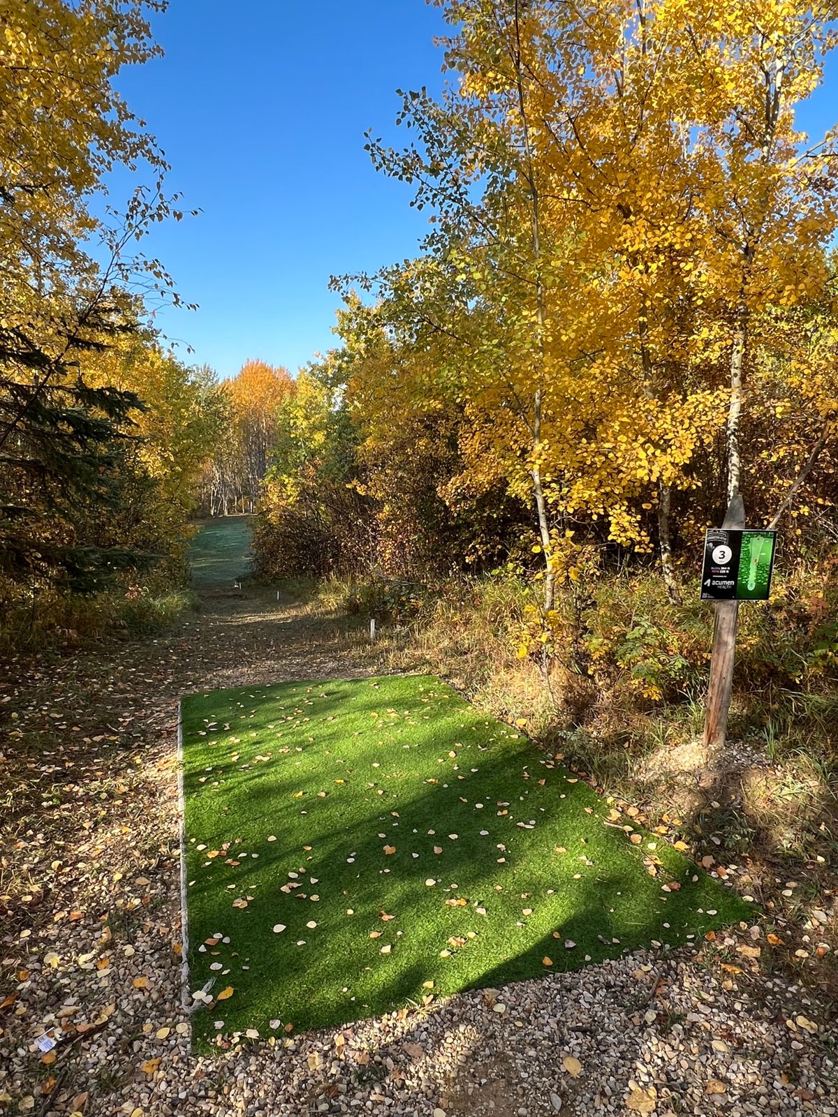 Hole 3 Tee Pad