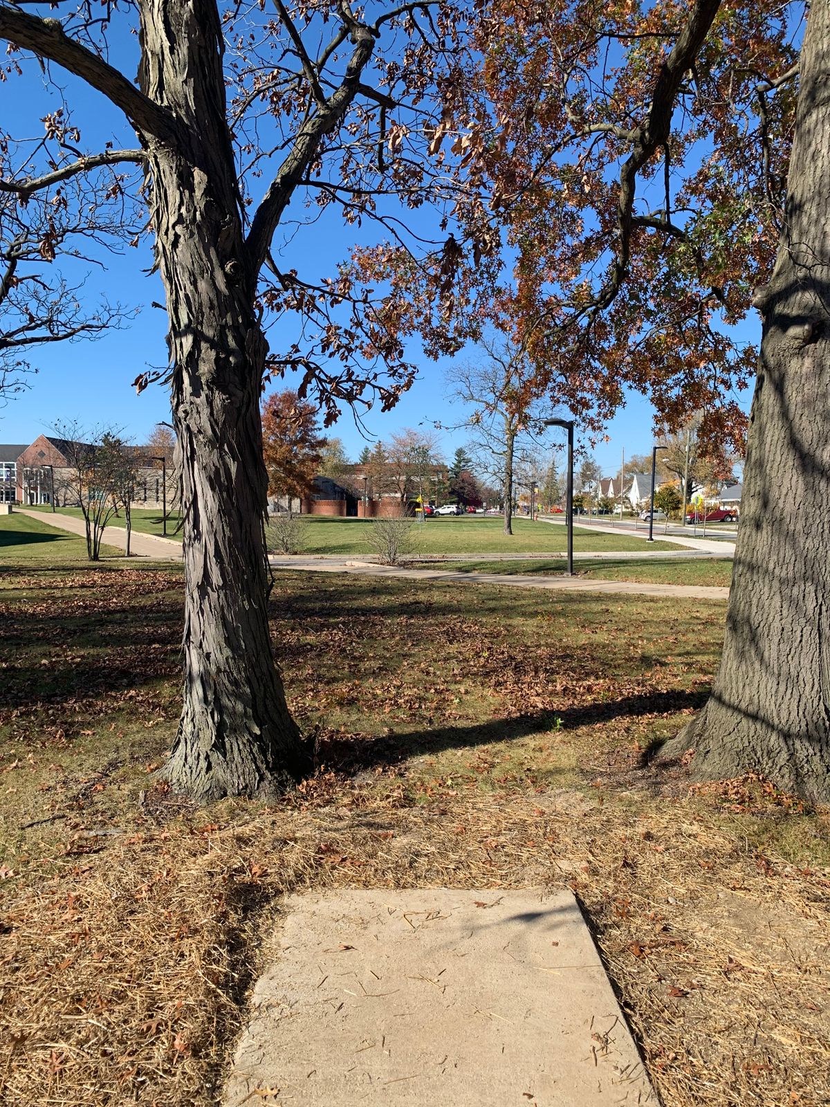 Hole 19 (Bonus Hole)