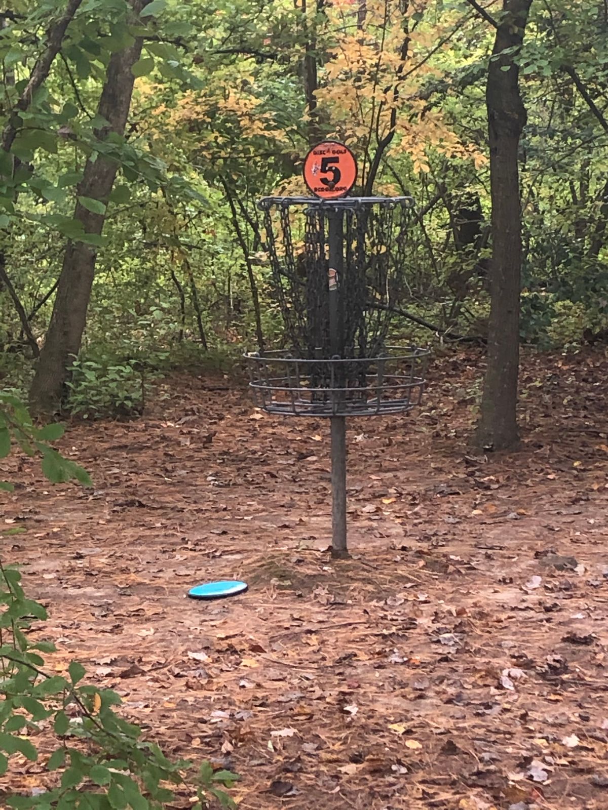Great birdie hole